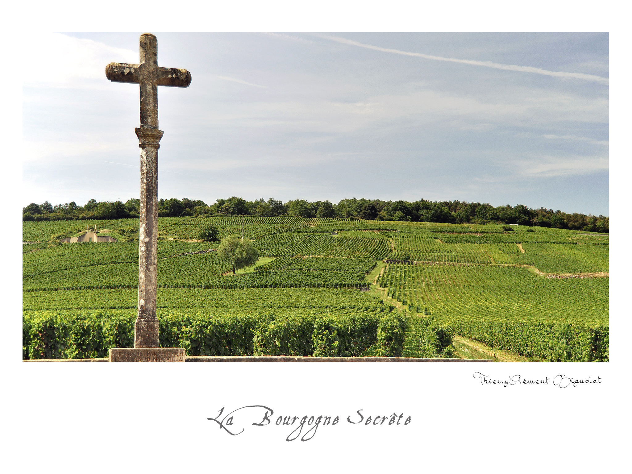 032 BOURGOGNE2016 20481